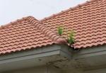 Comment assurer l'&eacute;tanch&eacute;it&eacute; de votre toiture &agrave; Marly ?